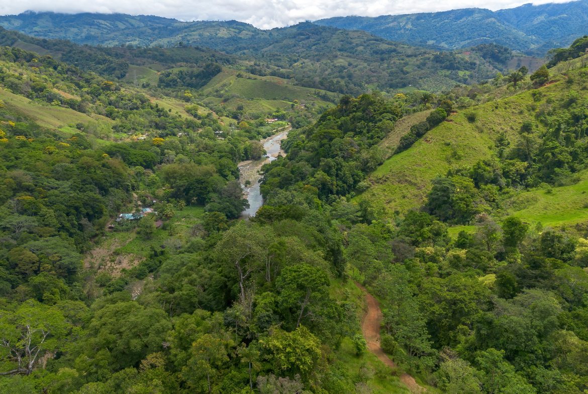 DEVELOPMENT PROPERTY WITH ONE BEDROOM HOUSE, IN THE HIGHEST OF PLATANILLO – 148 ACRES