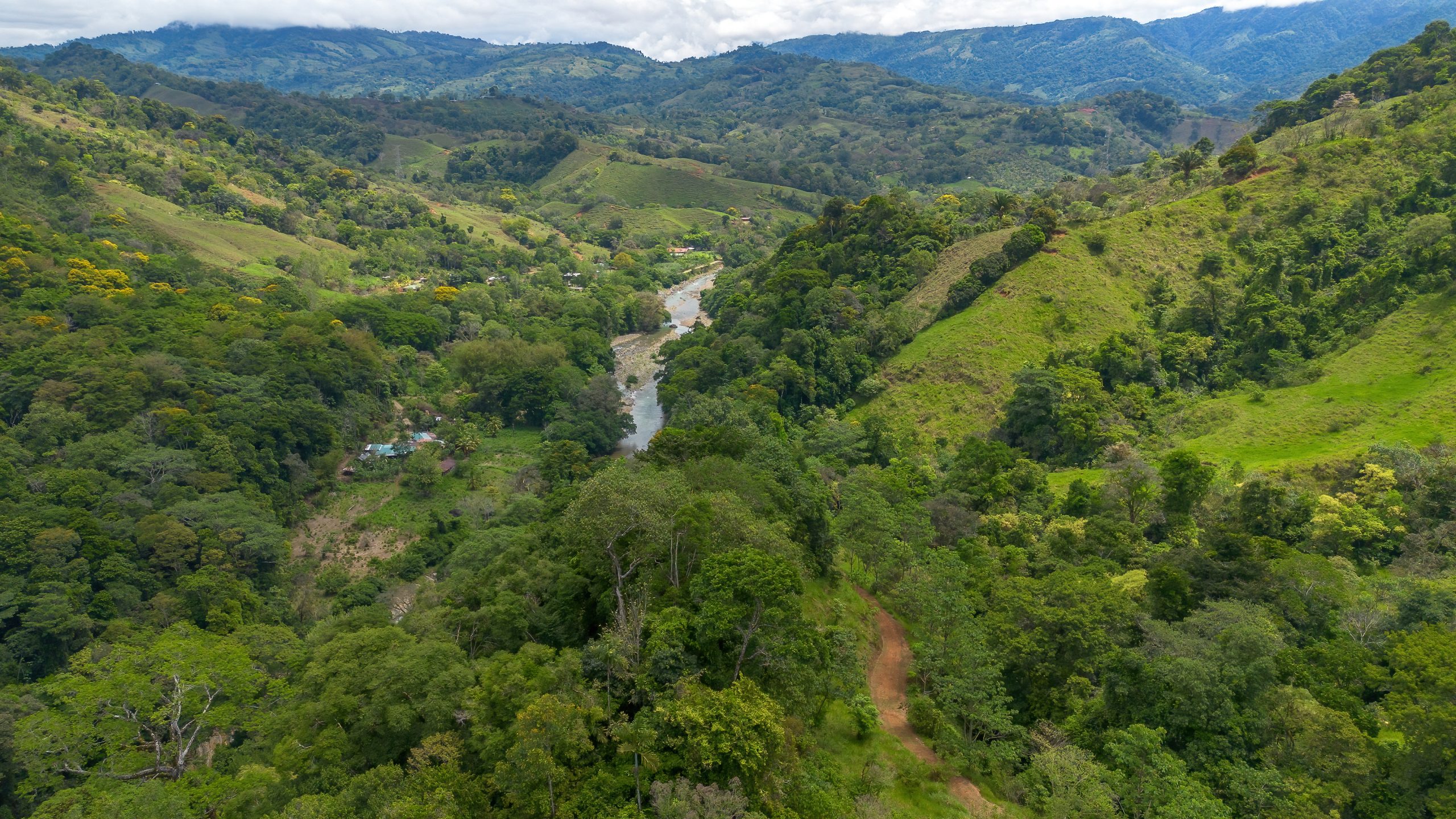 BZ-S&AU _ PLATANILLO -35 (1)