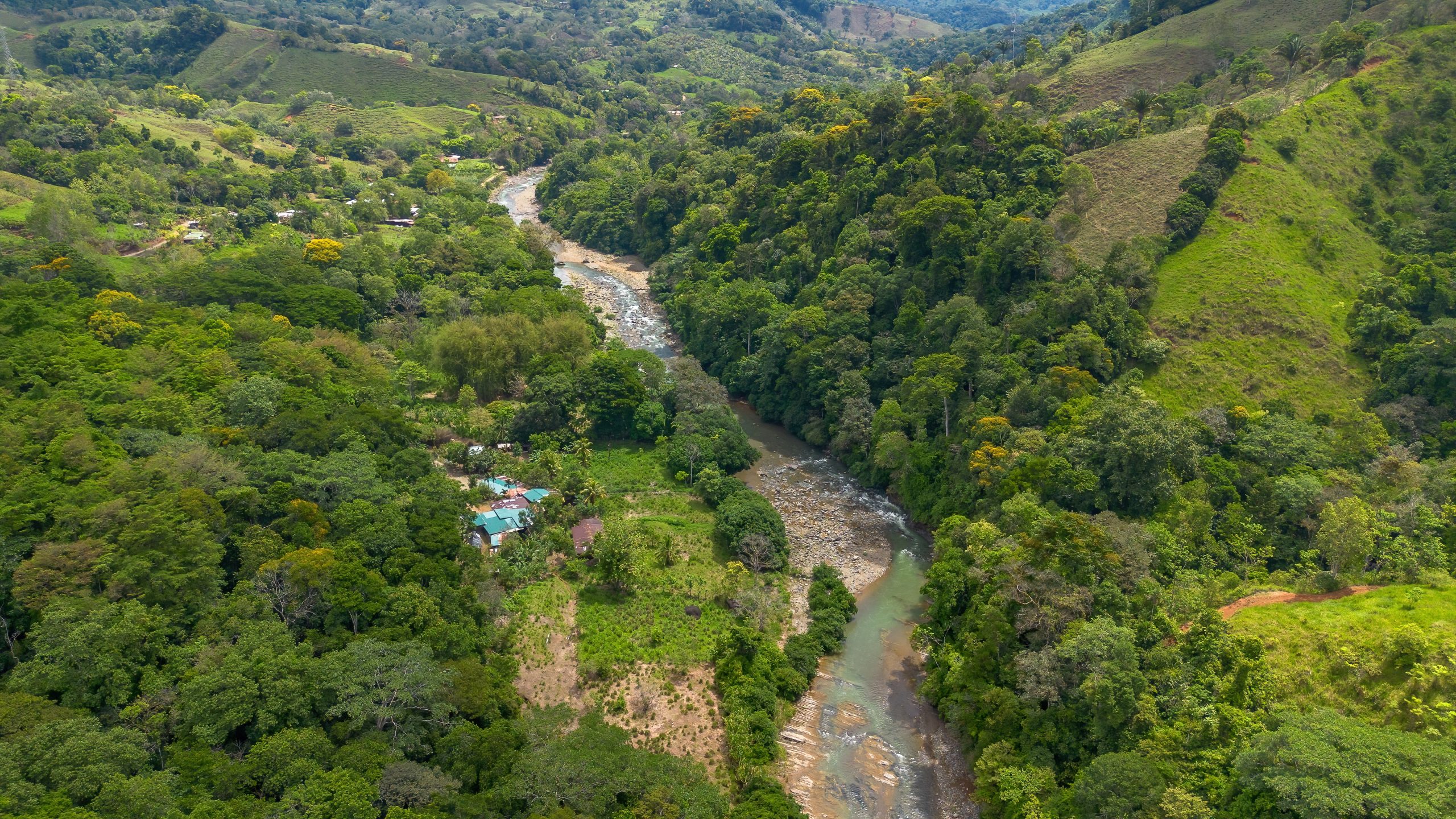 BZ-S&AU _ PLATANILLO -37 (1)