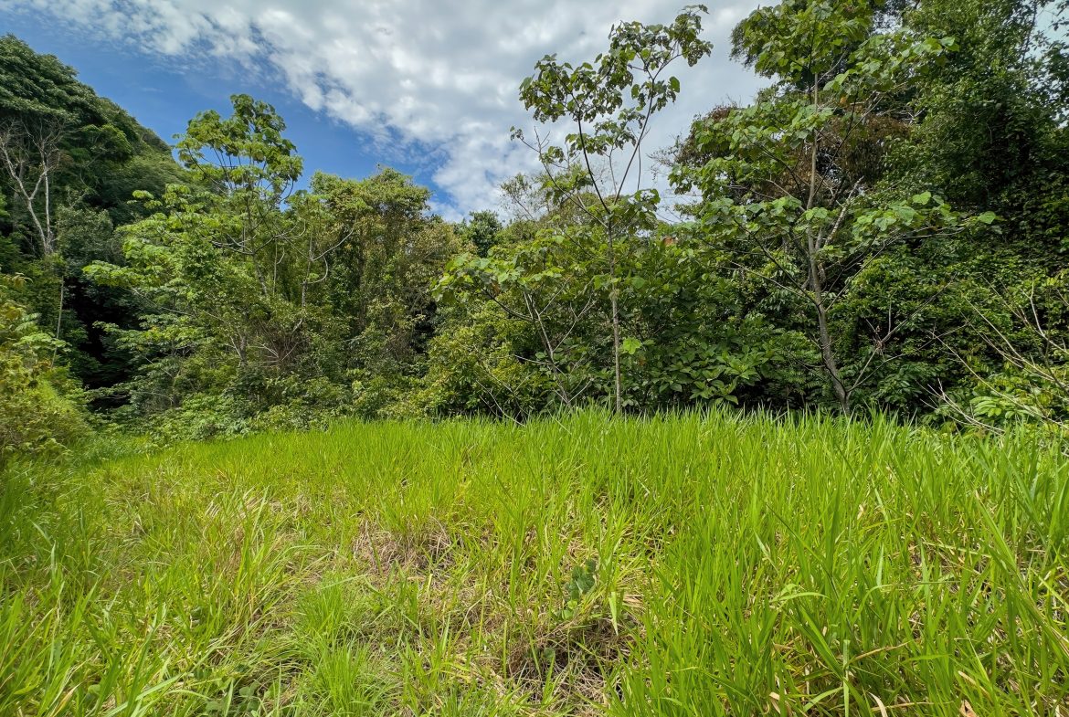 DEVELOPMENT PROPERTY WITH ONE BEDROOM HOUSE, IN THE HIGHEST OF PLATANILLO – 148 ACRES