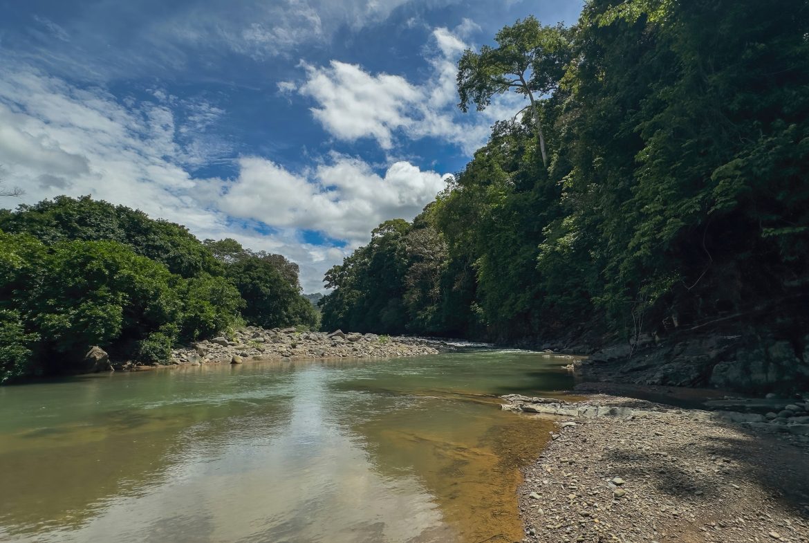 DEVELOPMENT PROPERTY WITH ONE BEDROOM HOUSE, IN THE HIGHEST OF PLATANILLO – 148 ACRES