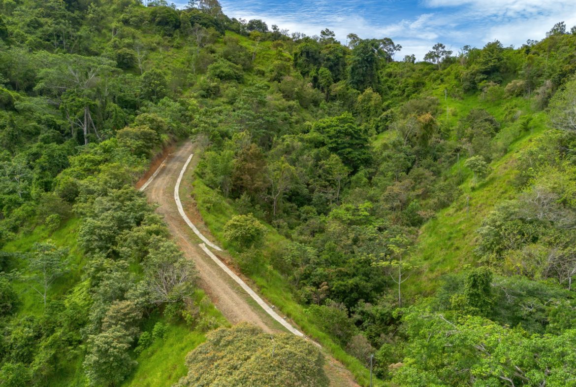 DEVELOPMENT PROPERTY WITH ONE BEDROOM HOUSE, IN THE HIGHEST OF PLATANILLO – 148 ACRES