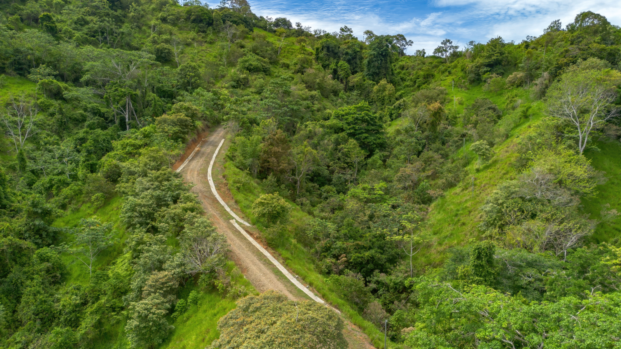 BZ-S&AU _ PLATANILLO -7 (1)