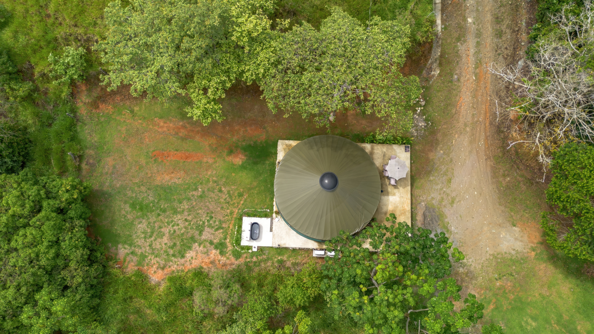 BZ-S&AU _ PLATANILLO -8 (1)