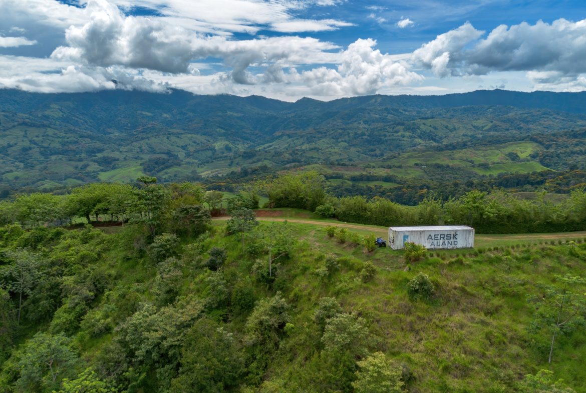 DEVELOPMENT PROPERTY WITH ONE BEDROOM HOUSE, IN THE HIGHEST OF PLATANILLO – 148 ACRES