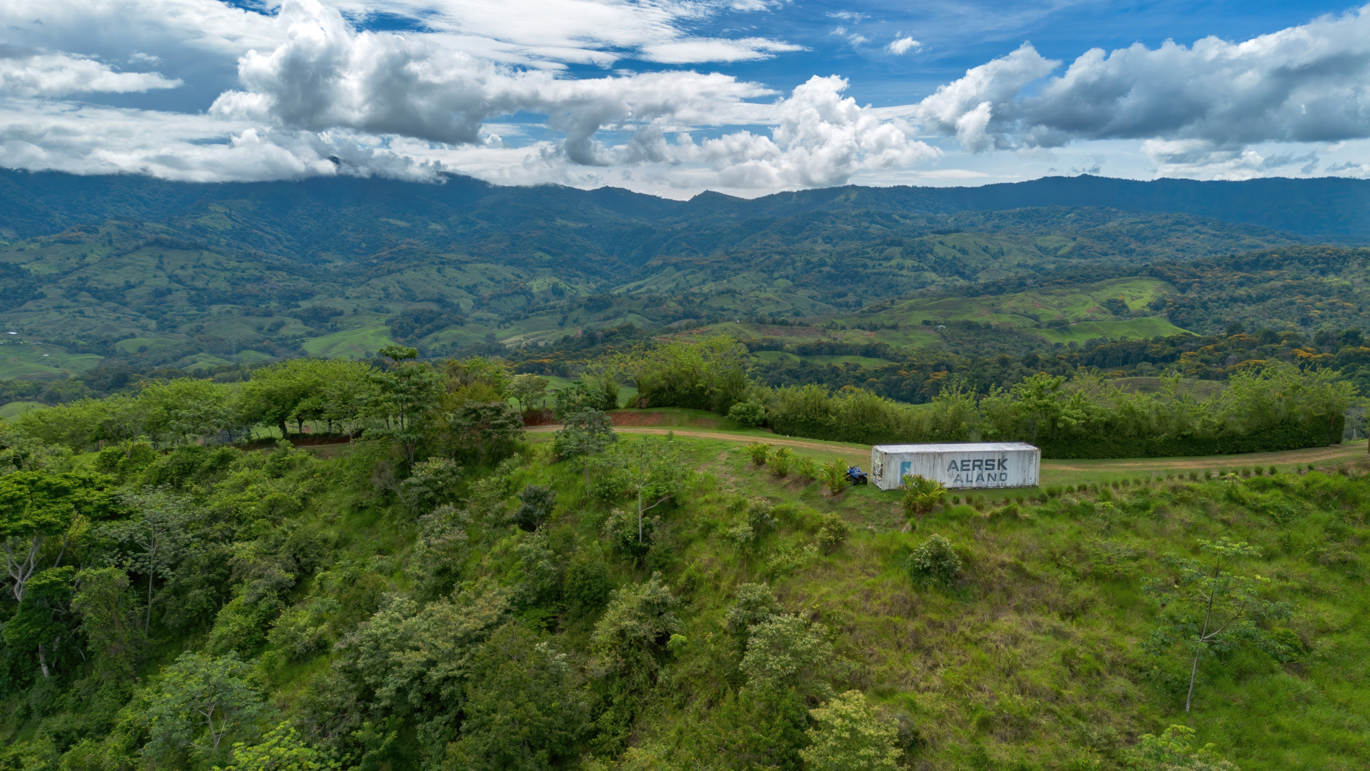 BZ-S&AU _ PLATANILLO -9 (1)