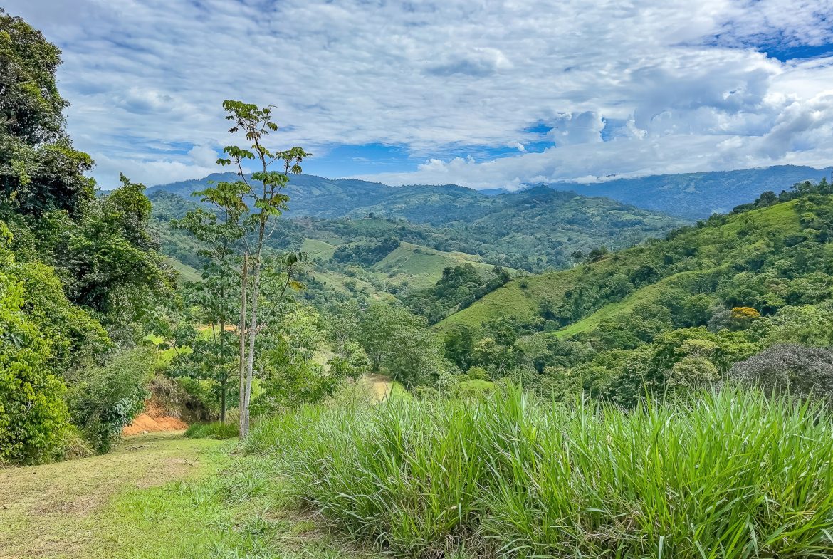 DEVELOPMENT PROPERTY WITH ONE BEDROOM HOUSE, IN THE HIGHEST OF PLATANILLO – 148 ACRES