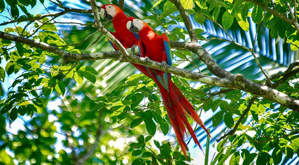 Bahia _32