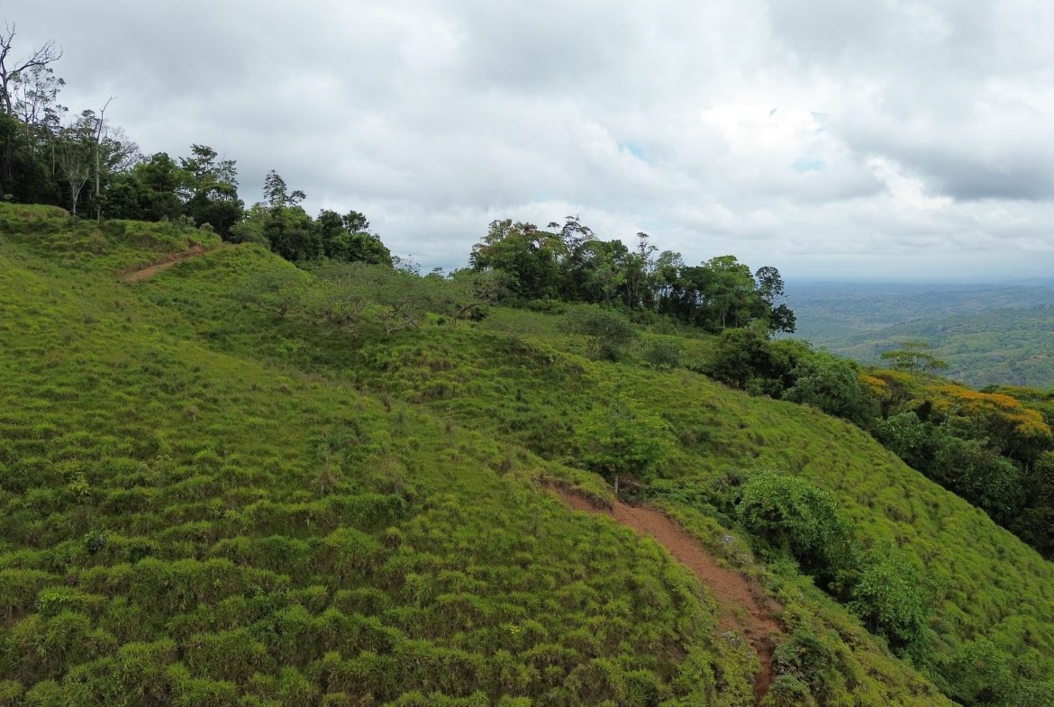 DEVELOPMENT PROPERTY NEAR TO THE WATERFALL, IN SILENCIO SAVEGRE – 128 ACRES