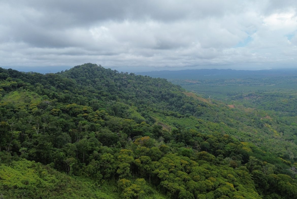 DEVELOPMENT PROPERTY NEAR TO THE WATERFALL, IN SILENCIO SAVEGRE – 128 ACRES