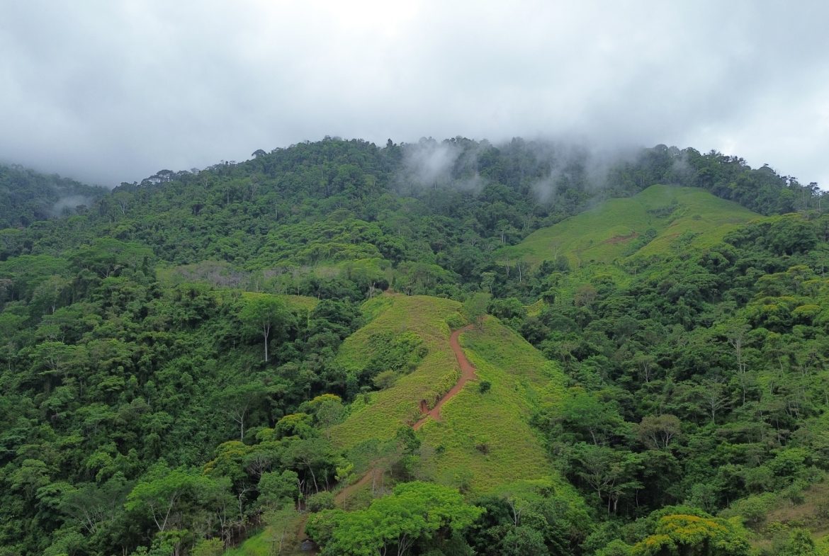 DEVELOPMENT PROPERTY NEAR TO THE WATERFALL, IN SILENCIO SAVEGRE – 128 ACRES