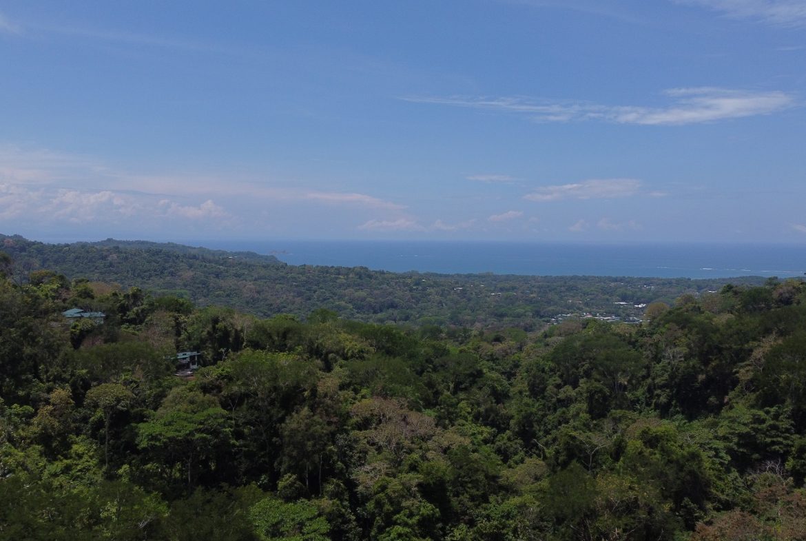 BUILDING PROPERTY WITH SUNSET VIEWS AND NEAR TO THE WATERFALL, IN UVITA – 6.29 ACRES
