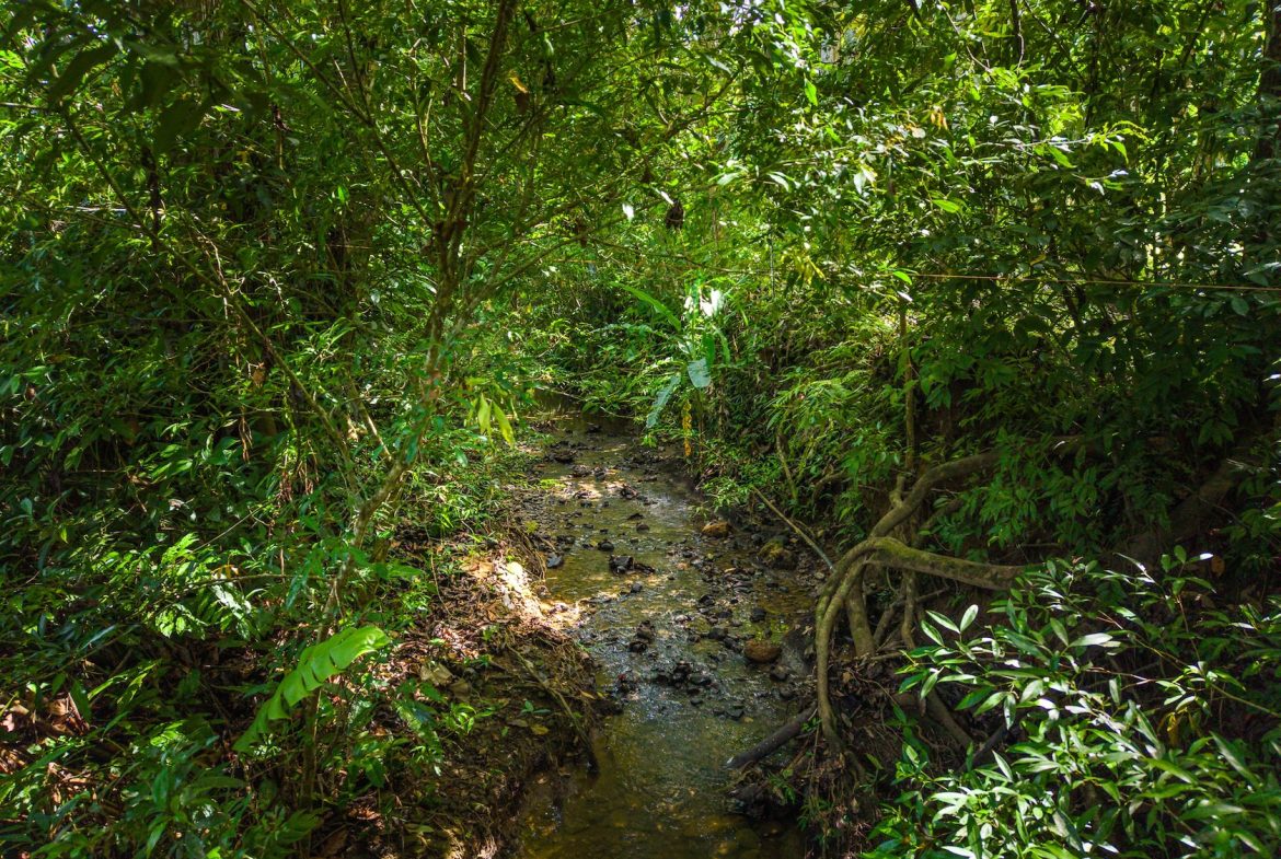 PROPERTY WITH TWO BEDROOMS WITH A PRIVATE CREEK, IN UVITA CENTER – 0.29 ACRES