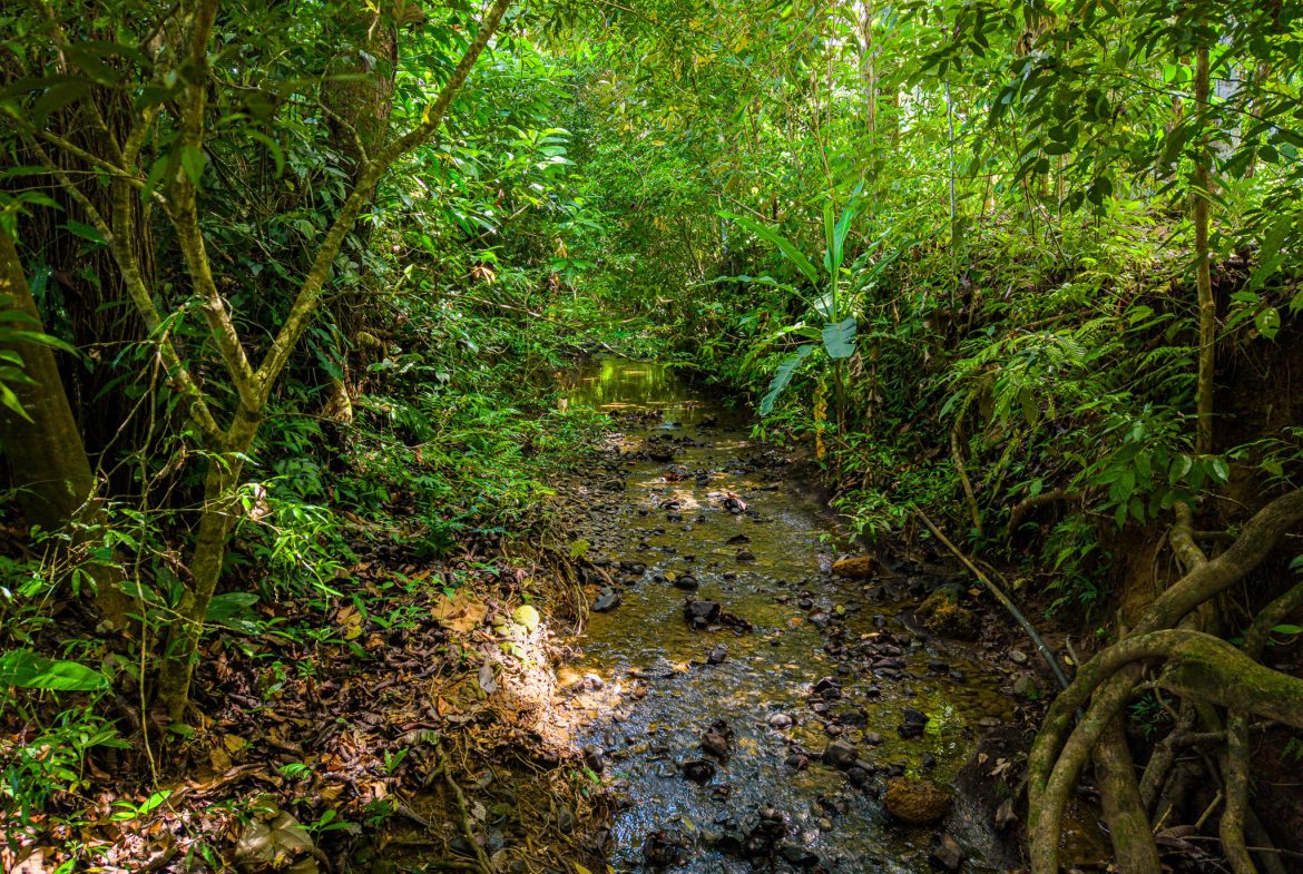 PROPERTY WITH TWO BEDROOMS WITH A PRIVATE CREEK, IN UVITA CENTER – 0.29 ACRES