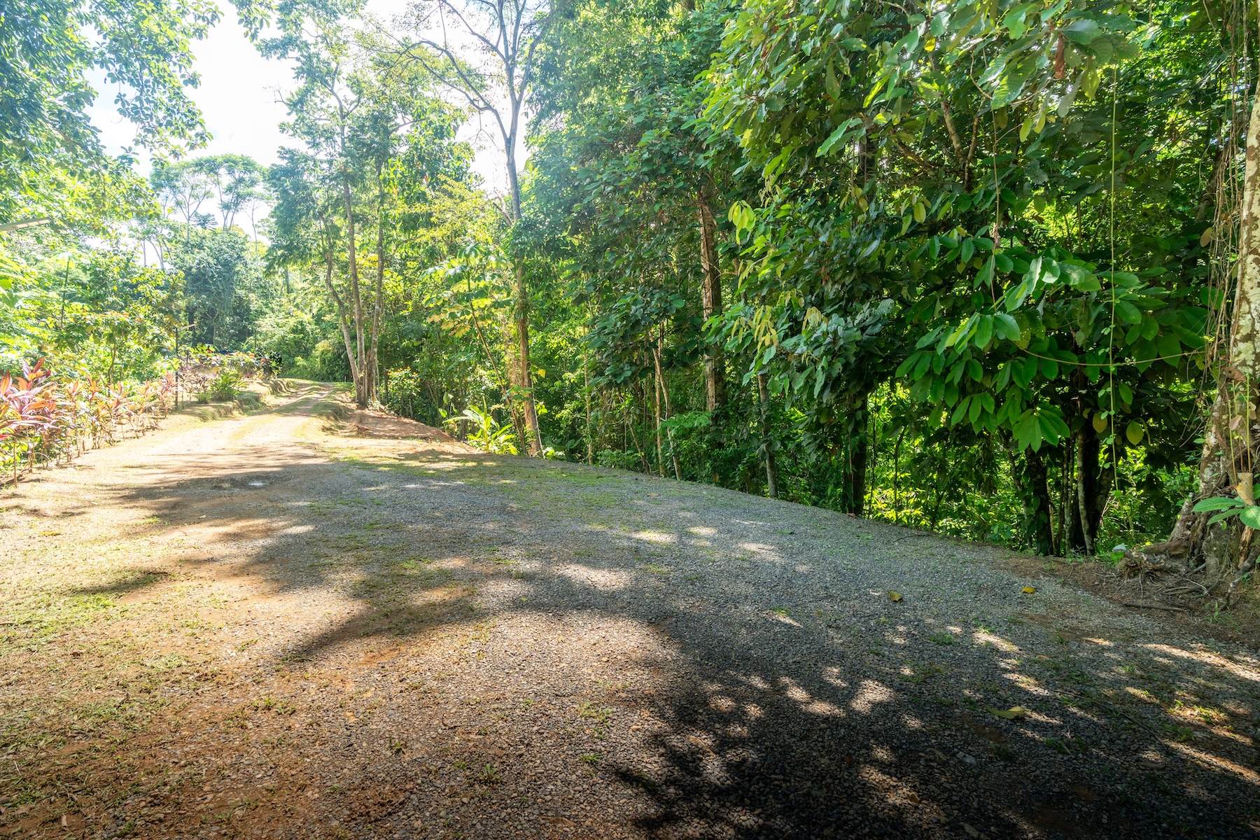 DSC07851-HDR