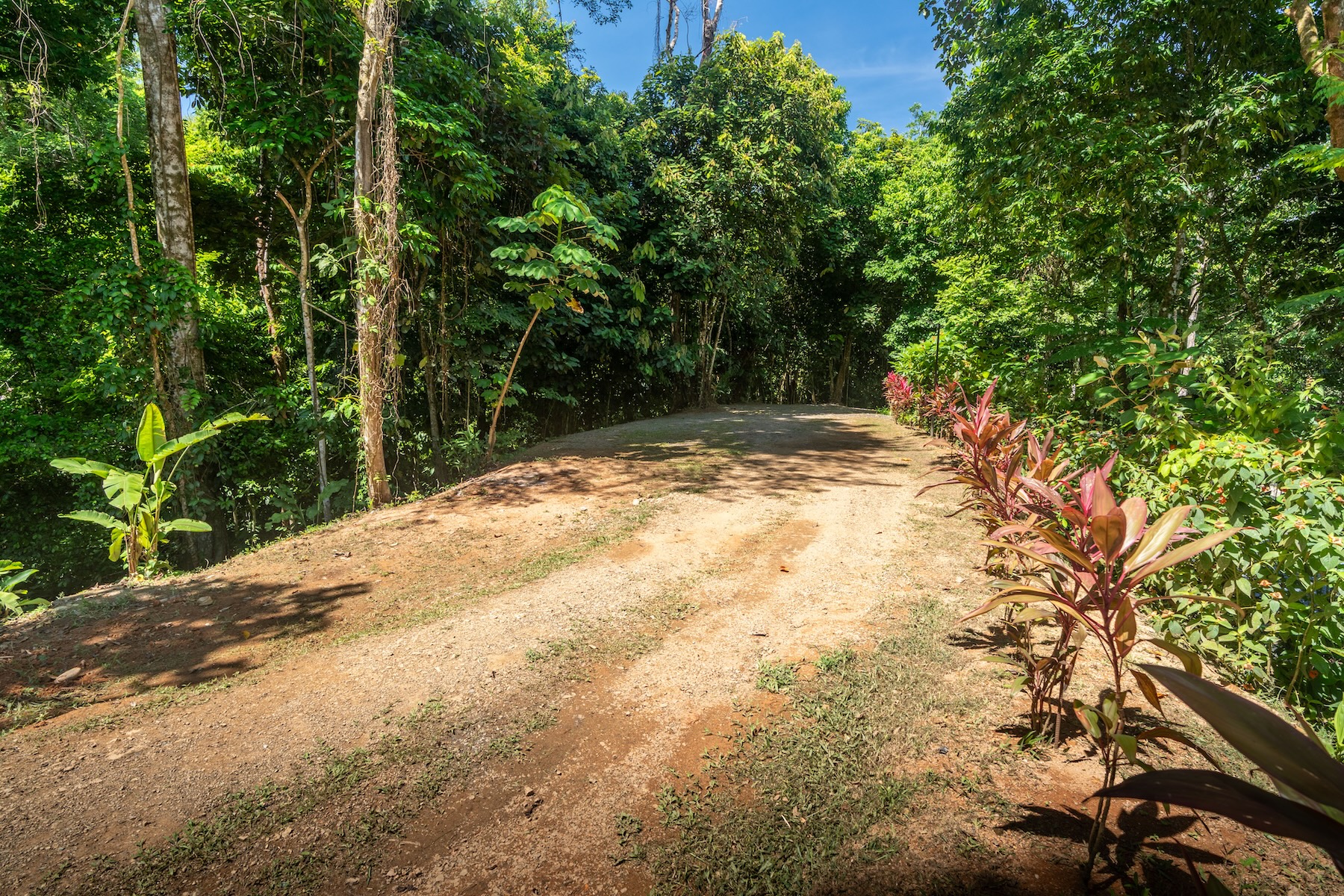 DSC07861-HDR