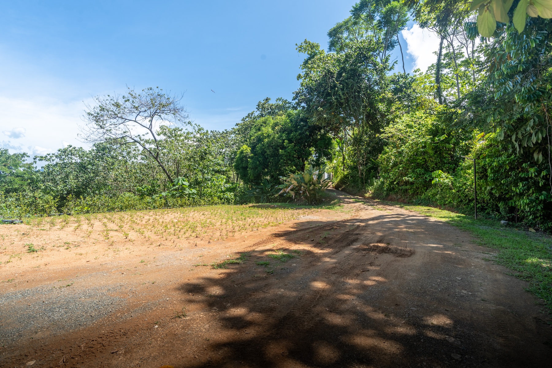 DSC07866-HDR