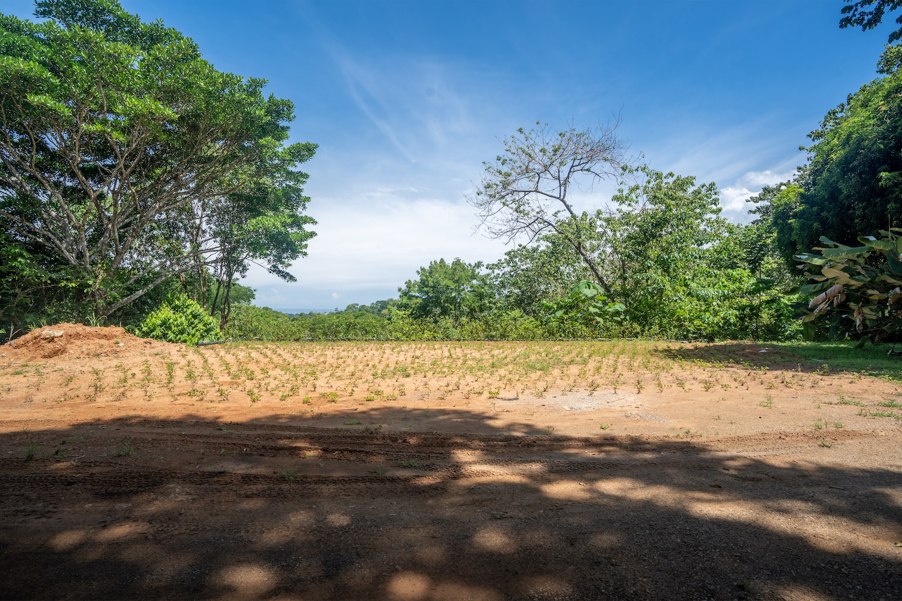 DSC07871-HDR