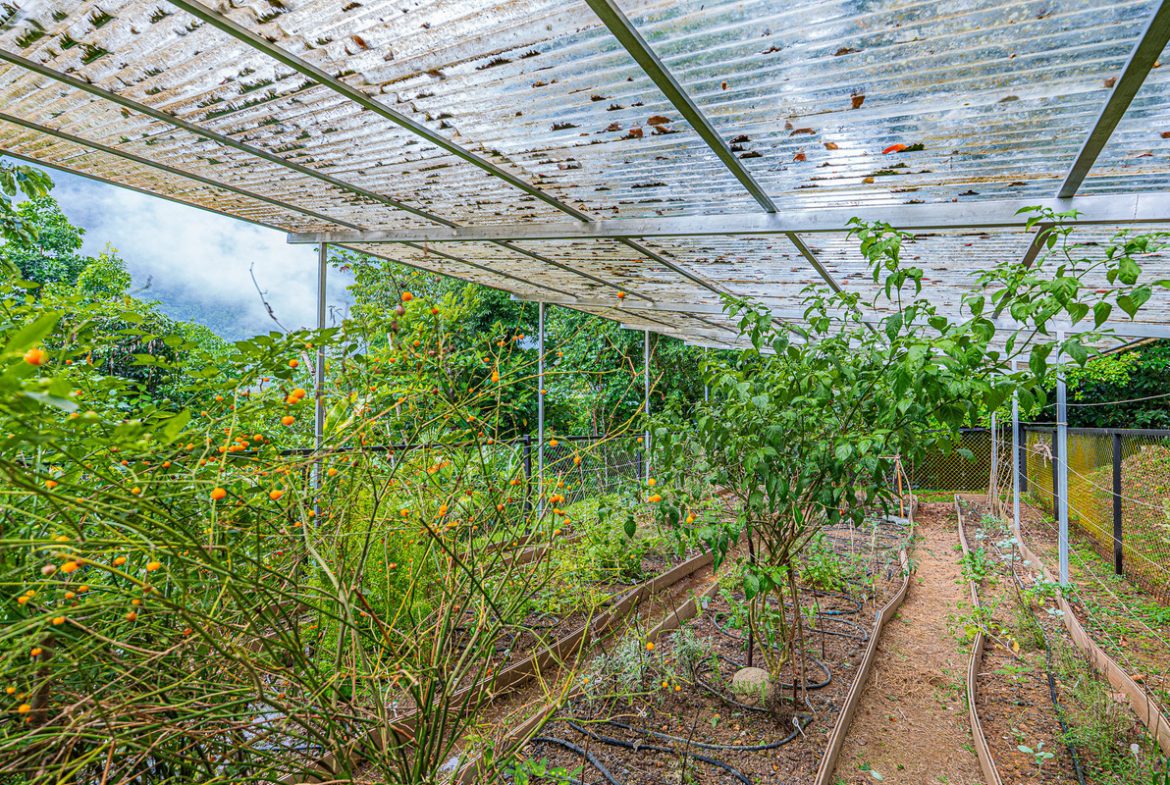 MOUNTAIN PROPERTY WITH TWO BEDROOMS AND SOLAR POWERED, IN TINAMASTES – 5.4 ACRES