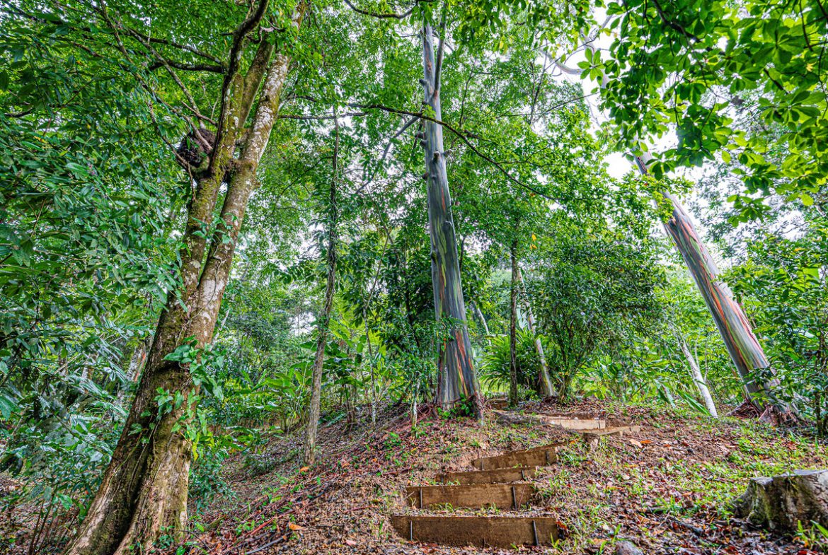 MOUNTAIN PROPERTY WITH TWO BEDROOMS AND SOLAR POWERED, IN TINAMASTES – 5.4 ACRES