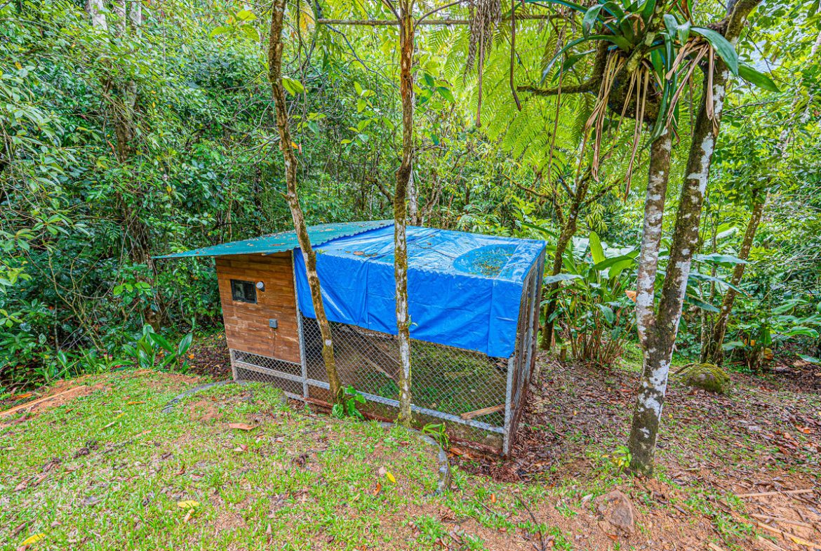 MOUNTAIN PROPERTY WITH TWO BEDROOMS AND SOLAR POWERED, IN TINAMASTES – 5.4 ACRES