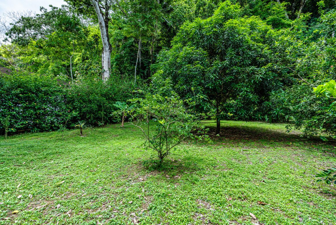 OASIS PROPERTY WITH THREE BEDROOMS NEAR TO THE RIVER, IN BARU – 0.69 ACRES