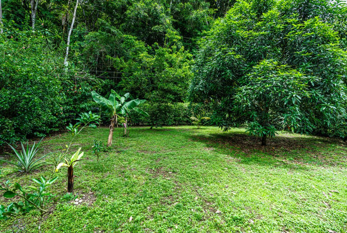 OASIS PROPERTY WITH THREE BEDROOMS NEAR TO THE RIVER, IN BARU – 0.69 ACRES
