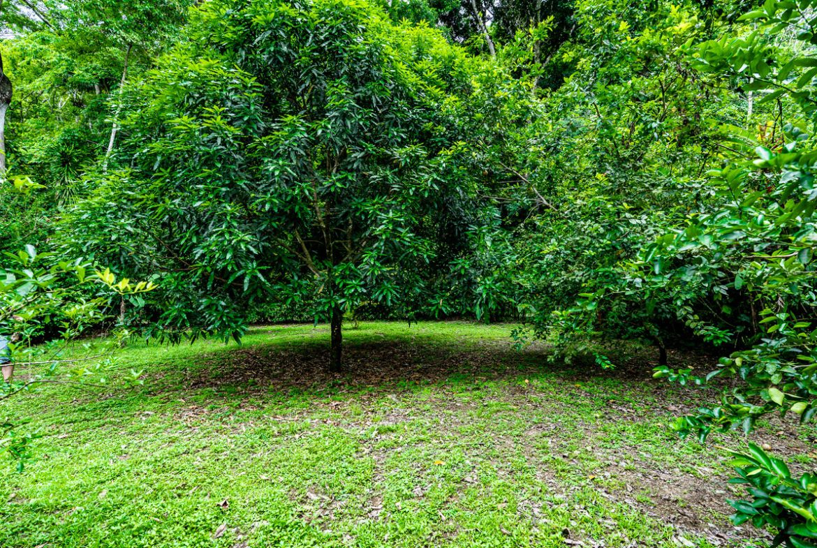 OASIS PROPERTY WITH THREE BEDROOMS NEAR TO THE RIVER, IN BARU – 0.69 ACRES