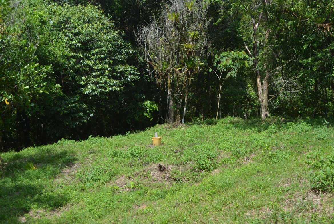 BUILDING PROPERTY WITH MOUNTAIN VIEWS AND NEAR TO THE WATERFALL, IN SILENCIO SAVEGRE – 42.4 ACRES