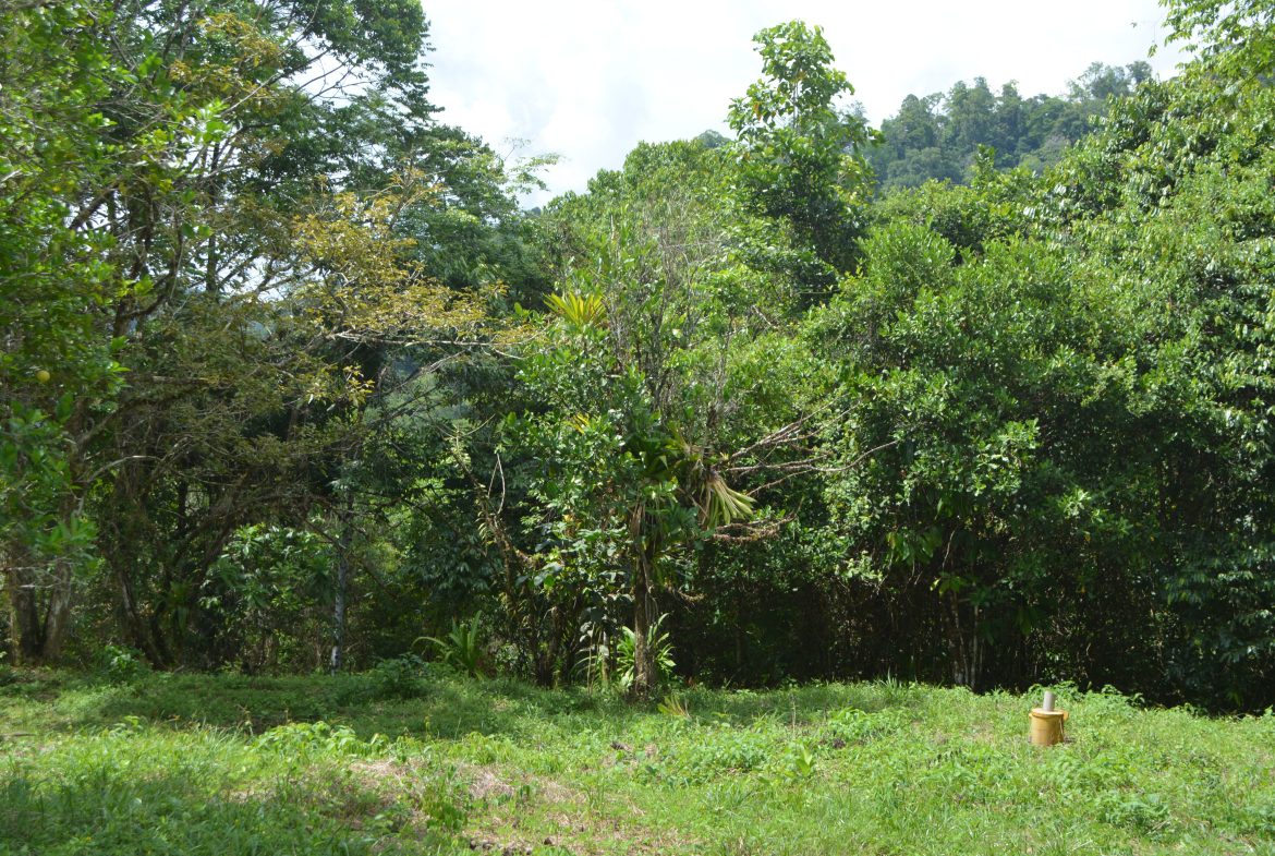 BUILDING PROPERTY WITH MOUNTAIN VIEWS AND NEAR TO THE WATERFALL, IN SILENCIO SAVEGRE – 42.4 ACRES