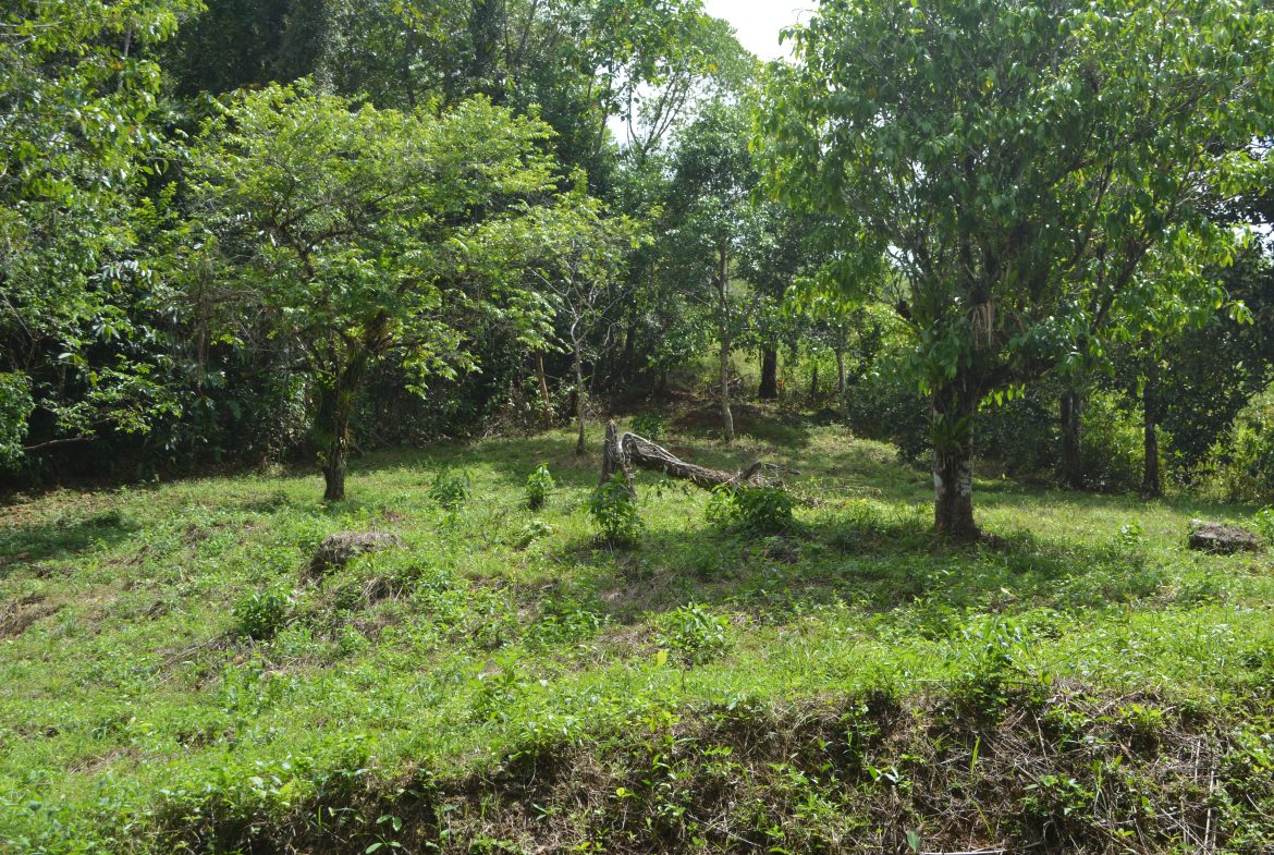 BUILDING PROPERTY WITH MOUNTAIN VIEWS AND NEAR TO THE WATERFALL, IN SILENCIO SAVEGRE – 42.4 ACRES