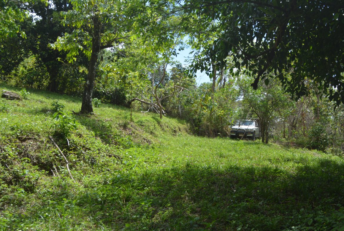BUILDING PROPERTY WITH MOUNTAIN VIEWS AND NEAR TO THE WATERFALL, IN SILENCIO SAVEGRE – 42.4 ACRES
