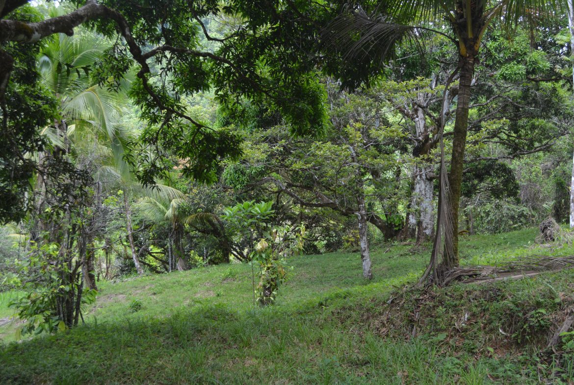 BUILDING PROPERTY WITH MOUNTAIN VIEWS AND NEAR TO THE WATERFALL, IN SILENCIO SAVEGRE – 42.4 ACRES