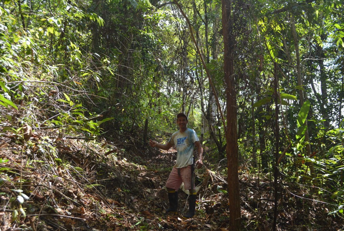 BUILDING PROPERTY WITH MOUNTAIN VIEWS AND NEAR TO THE WATERFALL, IN SILENCIO SAVEGRE – 42.4 ACRES