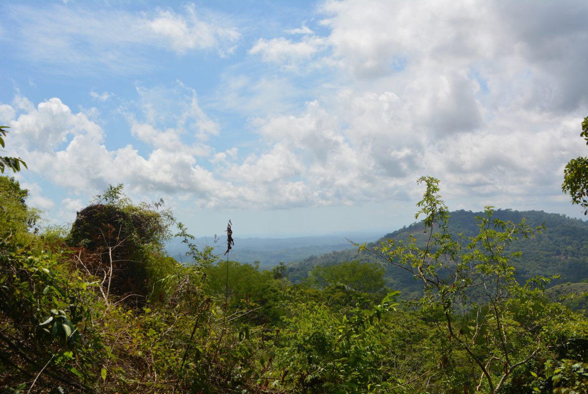 BUILDING PROPERTY WITH MOUNTAIN VIEWS AND NEAR TO THE WATERFALL, IN SILENCIO SAVEGRE – 42.4 ACRES