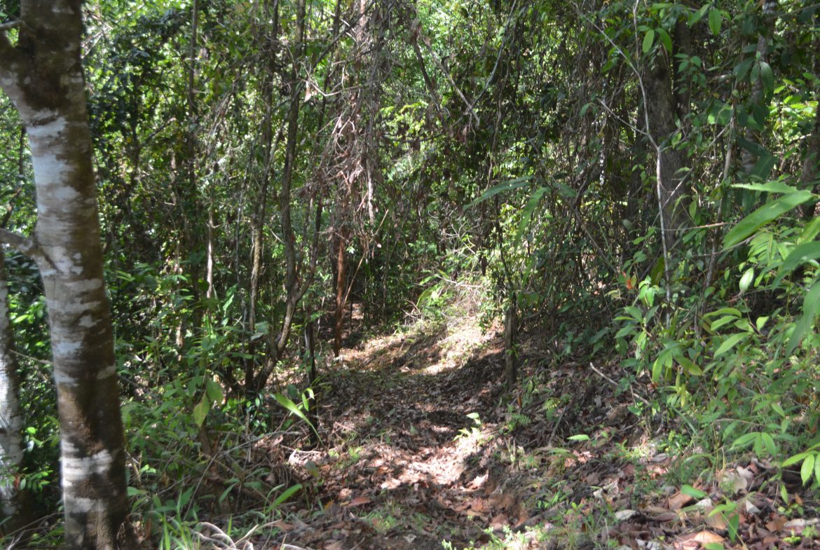 BUILDING PROPERTY WITH MOUNTAIN VIEWS AND NEAR TO THE WATERFALL, IN SILENCIO SAVEGRE – 42.4 ACRES