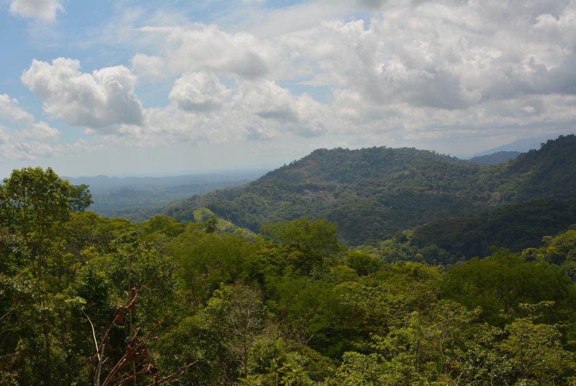 BUILDING PROPERTY WITH MOUNTAIN VIEWS AND NEAR TO THE WATERFALL, IN SILENCIO SAVEGRE – 42.4 ACRES
