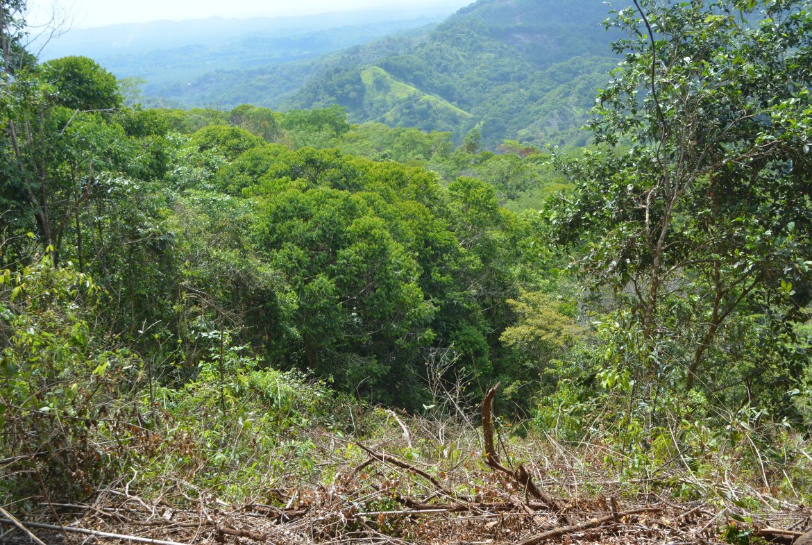 BUILDING PROPERTY WITH MOUNTAIN VIEWS AND NEAR TO THE WATERFALL, IN SILENCIO SAVEGRE – 42.4 ACRES