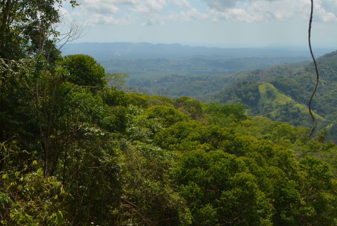 BUILDING PROPERTY WITH MOUNTAIN VIEWS AND NEAR TO THE WATERFALL, IN SILENCIO SAVEGRE – 42.4 ACRES