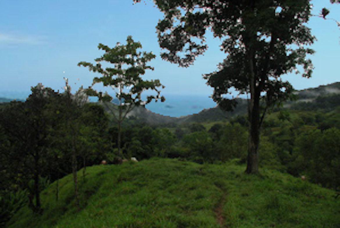 PRIVATE MOUNTAIN SANCTUARY WITH WATERFALLS, RIVER ACCESS AND FOREST – 40 ACRES