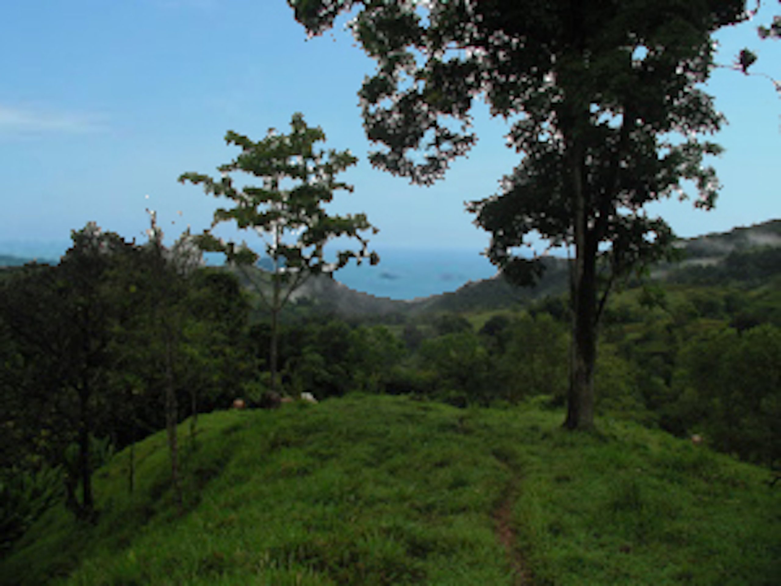 G_ Kate_s place with blue sky_1 copy 2