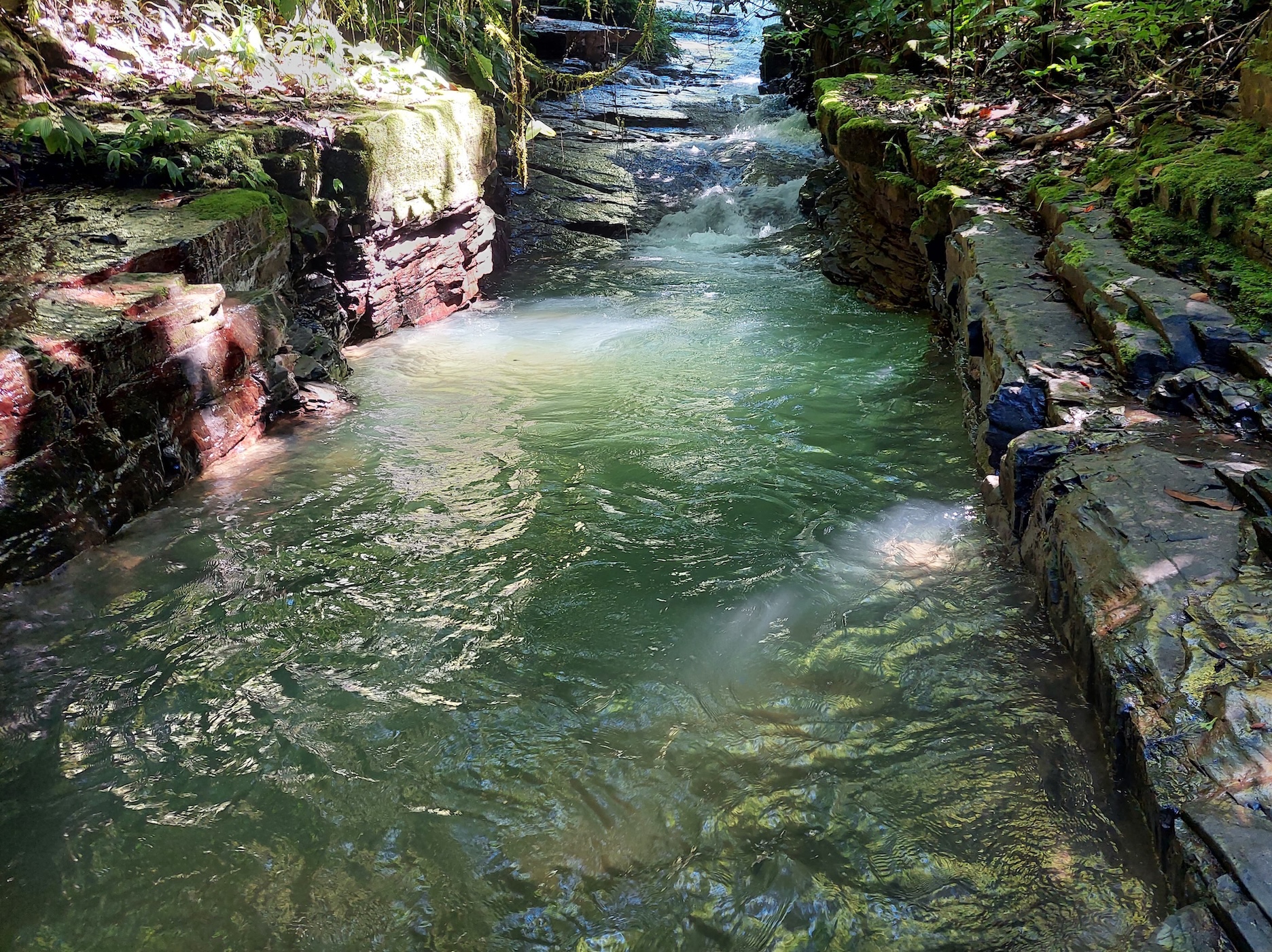 IMG-20240822-WA0029
