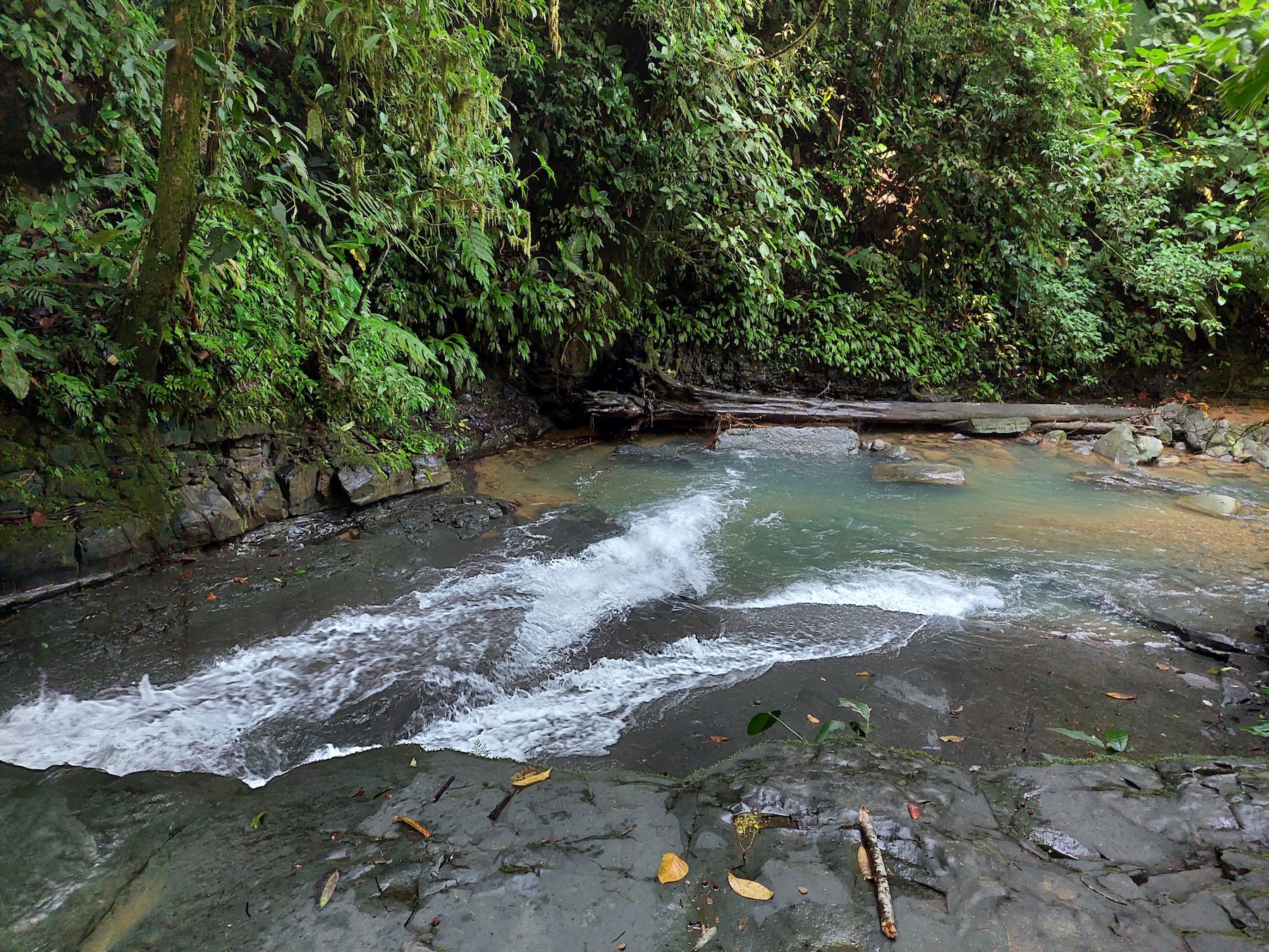 IMG-20240822-WA0031