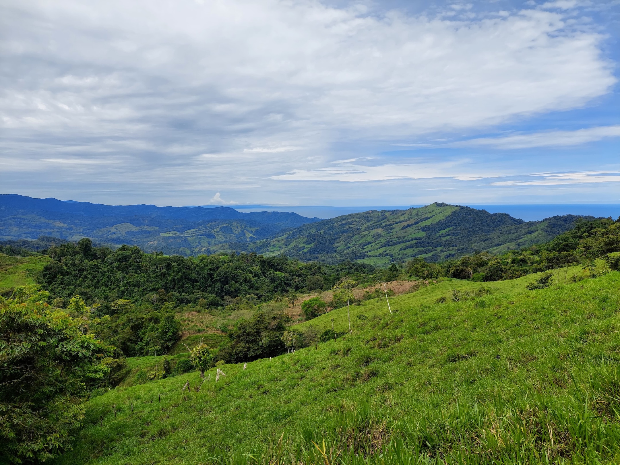 IMG-20240822-WA0034