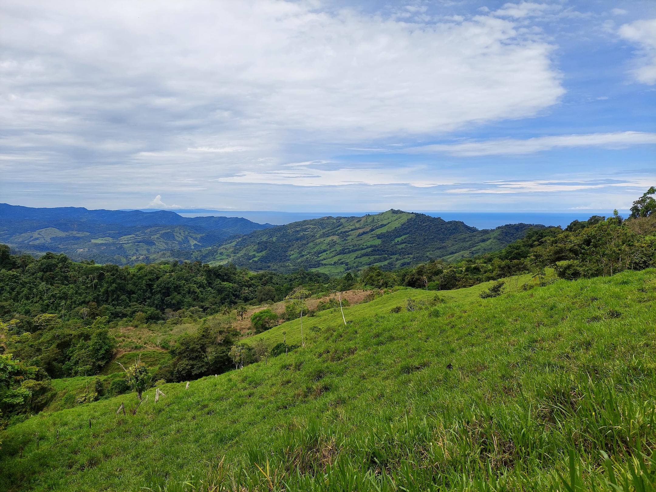 IMG-20240822-WA0036