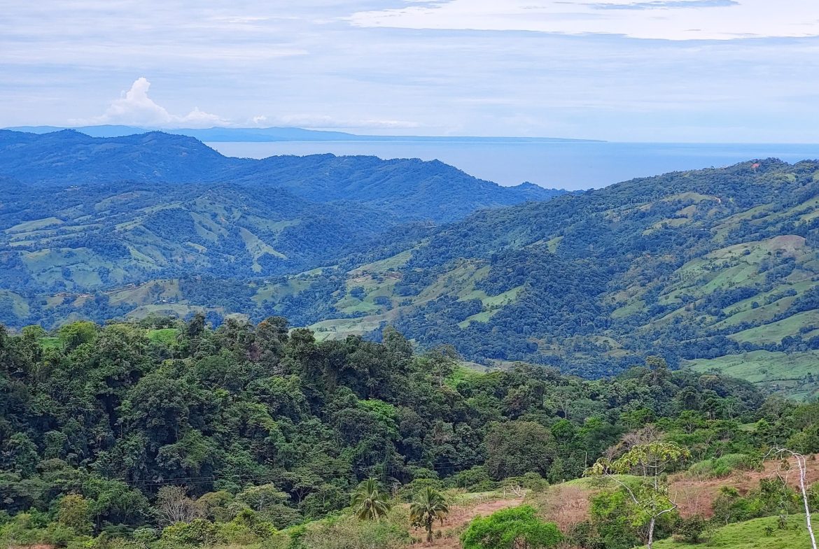 VILLA BONITA DEVELOPMENT PROPERTY WITH OCEAN VIEWS, IN PIEDRAS BLANCAS – 168 ACRES