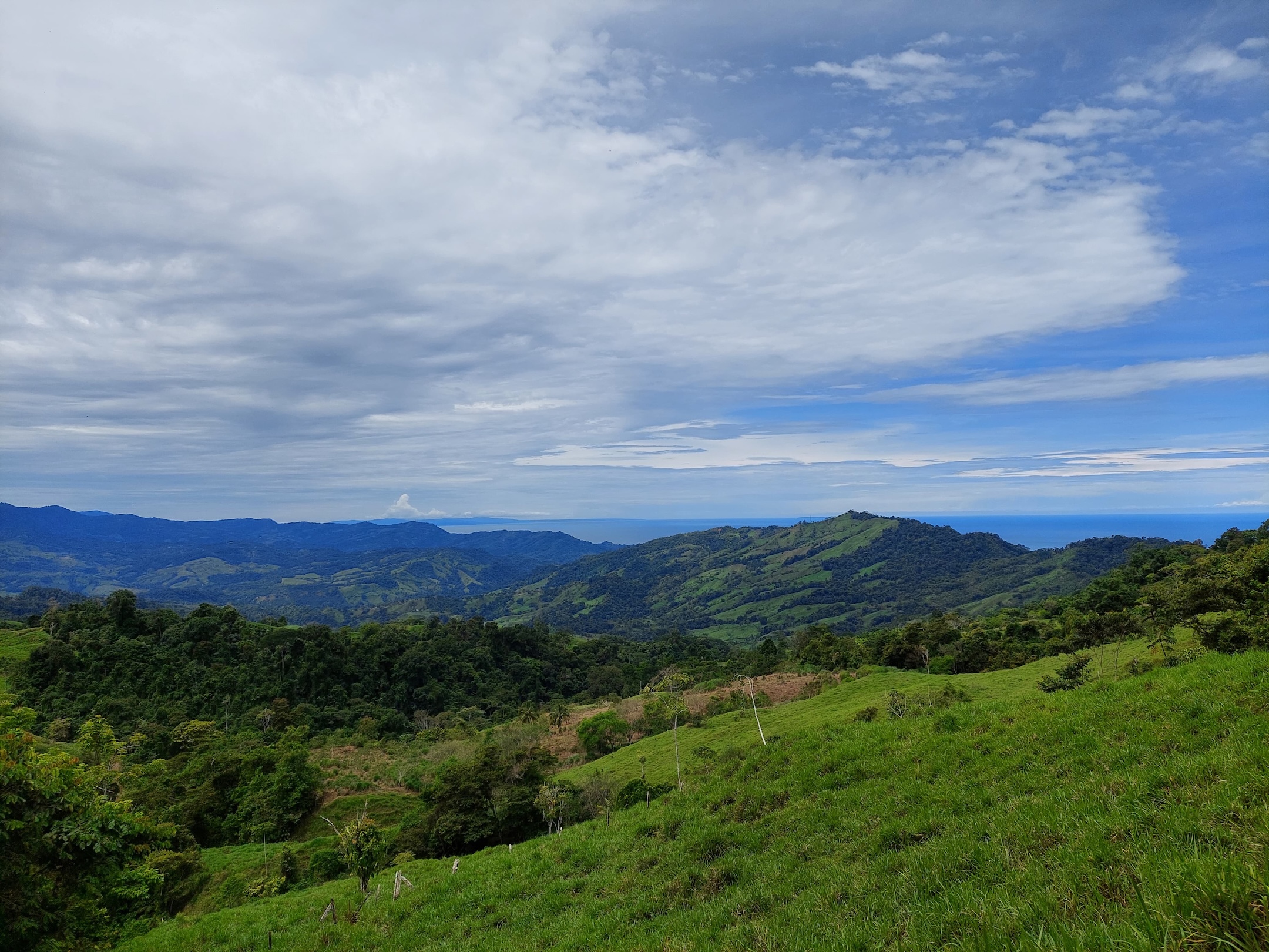 IMG-20240822-WA0039