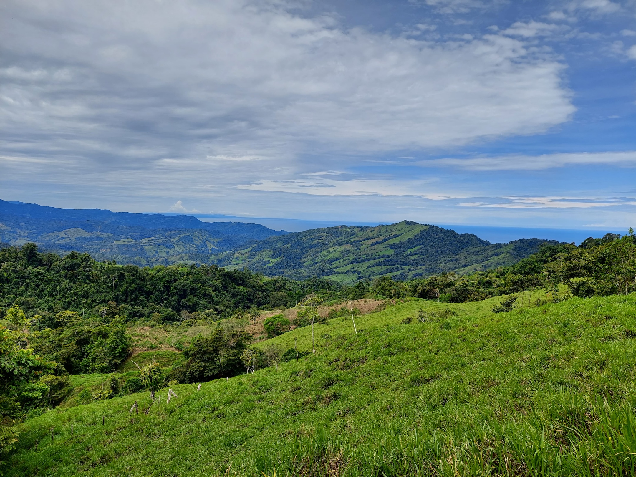 IMG-20240822-WA0040