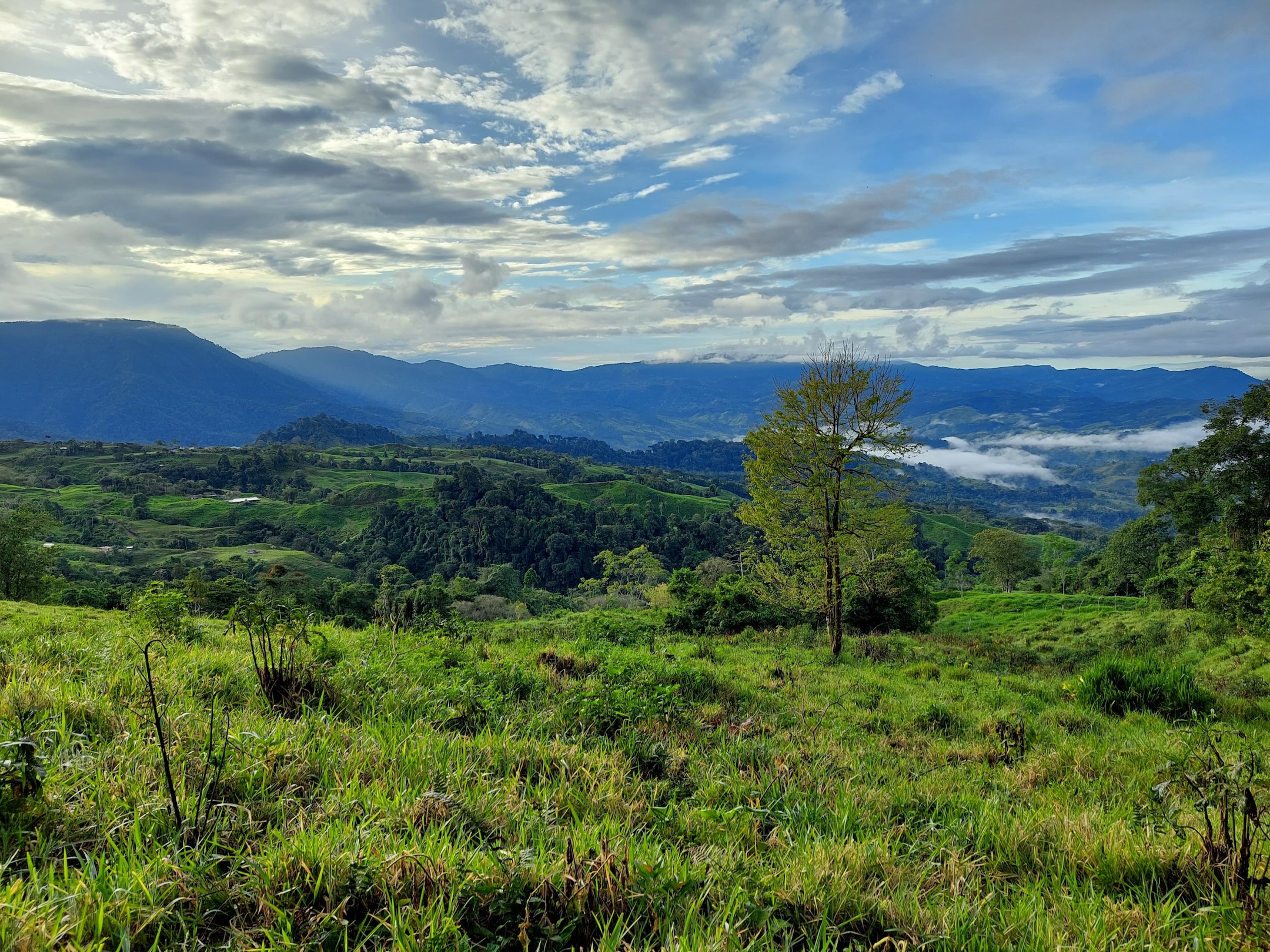 IMG-20240822-WA0041