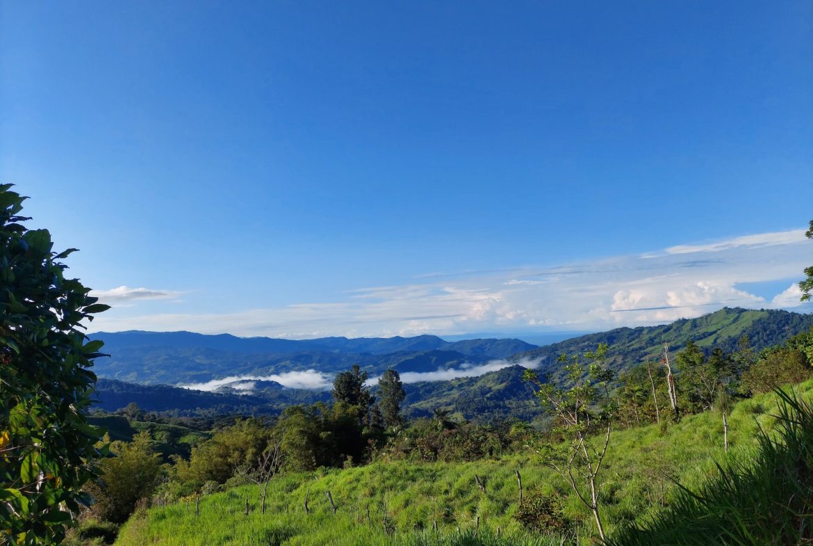 VILLA BONITA DEVELOPMENT PROPERTY WITH OCEAN VIEWS, IN PIEDRAS BLANCAS – 168 ACRES